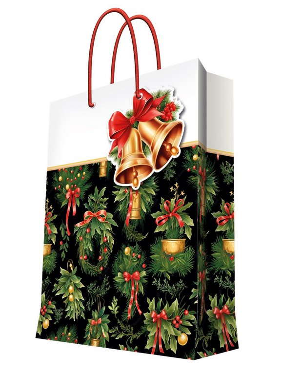 Пакет бумажный НГ 26*32см ламиниров. "Европейские каникулы"