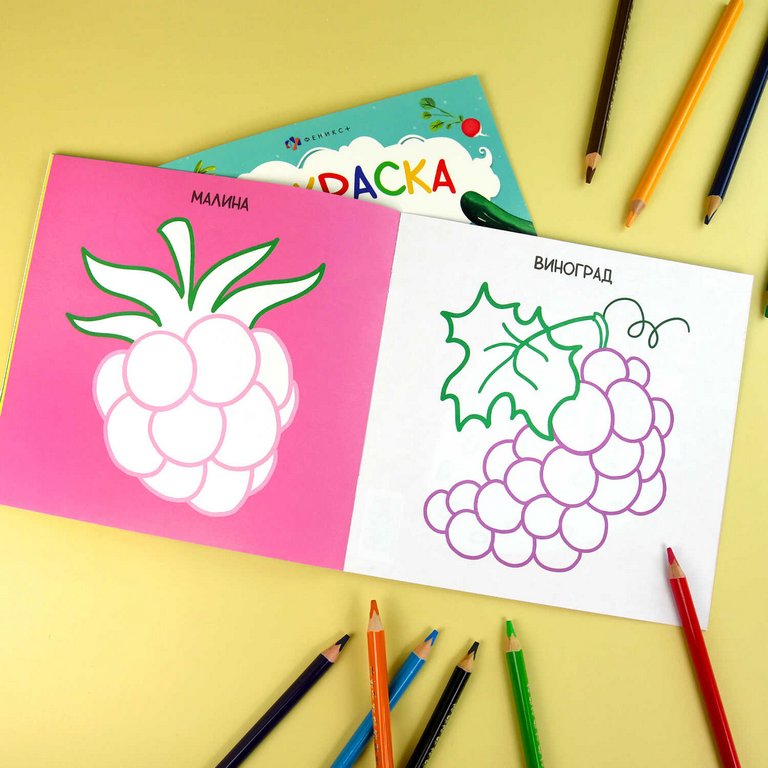 Раскраска А4 "Фрукты и Ягоды" 16л Феникс+
