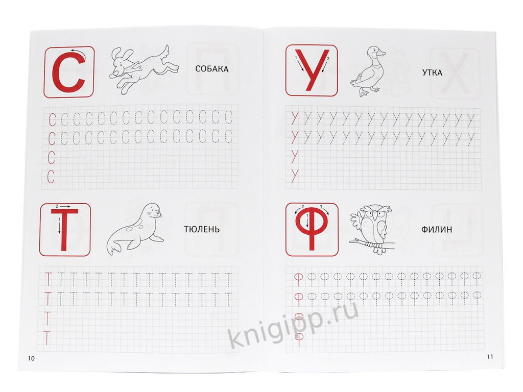 Пропись классическая "Пишем печатные буквы" А4, 16 стр. ПРОФ-пресс