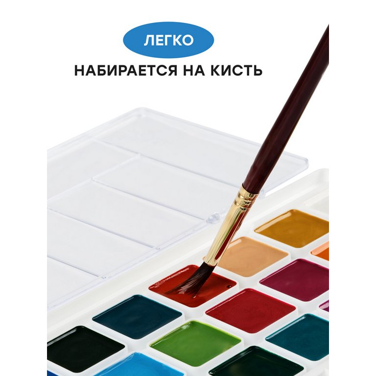 Краски акварельные 24 цв. медовые ГАММА "Классическая" (без кисти, пластиковая упаковка)