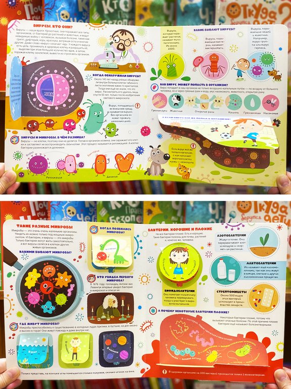 Книга картонная с окошками "Вирусы и бактерии. Что мы знаем о них?" 12 стр. Malamalama