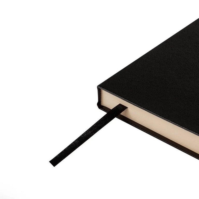 Ежедневник без дат 145*216 мм Bruno Visconti "Megapolis" черный