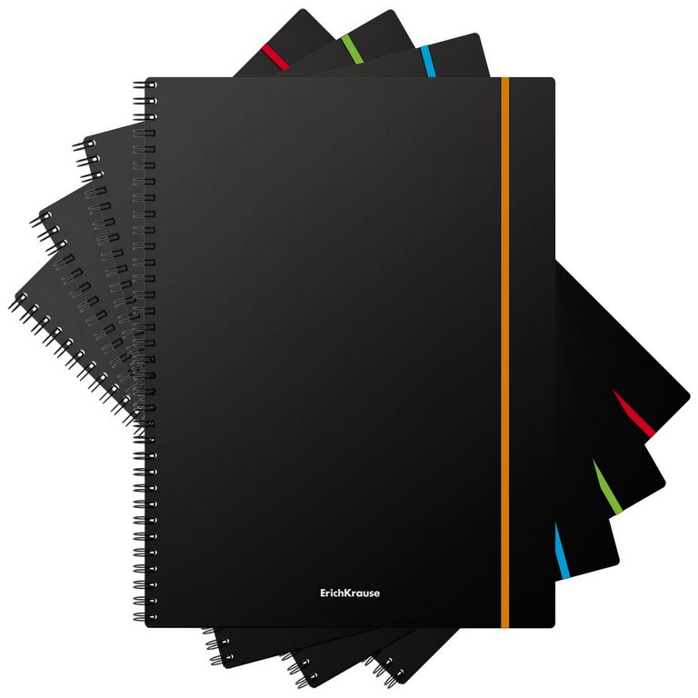 Тетрадь 80 лист кл. А4 на спирали пластиковая обложка "Accent" ассорти, на резинке