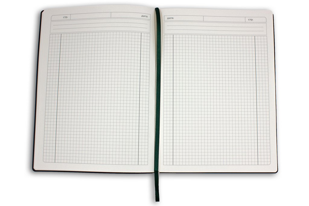 Бизнес-блокнот А4 128л., 205*270 мм, кожзам Полином "ПАПОРОТНИКИ" клетка+точка цв. темно-зеленый