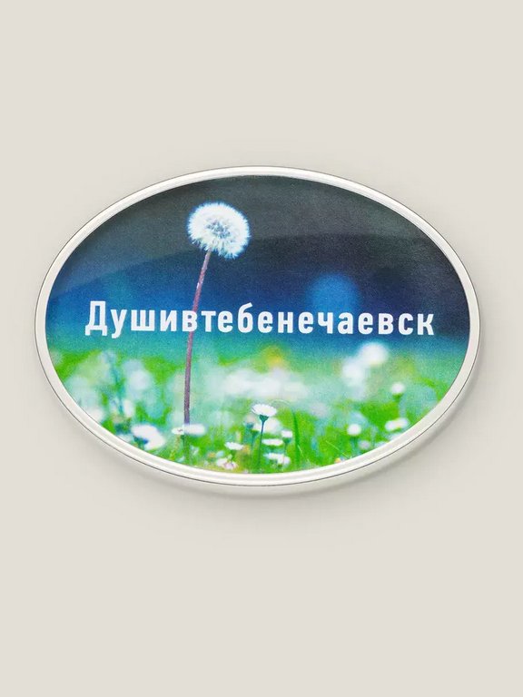 Магнит "Душивтебенечаевск" Бюро находок