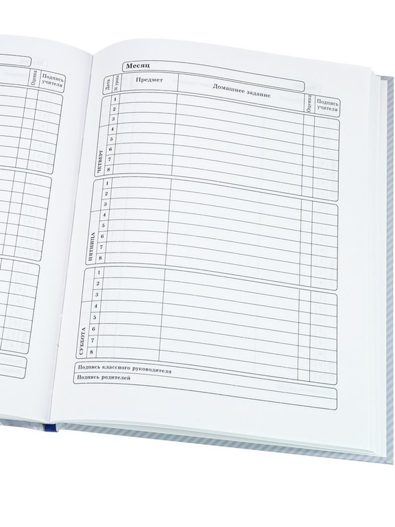 Дневник для ст/кл. Prof-Press твердая обложка, выбор. лак "КАСТОМНЫЙ БАЙК"