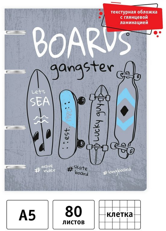 Тетрадь 80 лист кл. А5 на кольцах "Скейт"