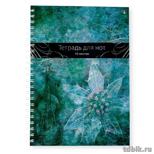 Тетрадь для нот 50 л., А4 на гребне (вертикальная)