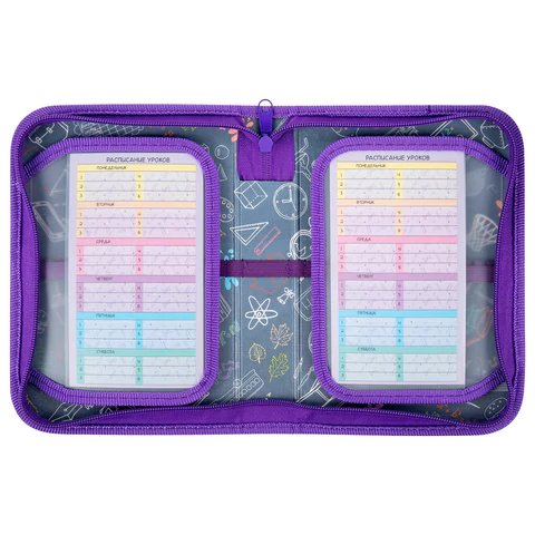 Пенал 1 отд. 2 откид. планки для девочки Пифагор "Falling cat" 20*14 см полиэстер