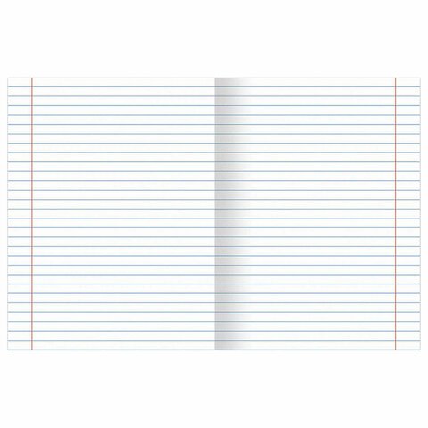 Тетради в наборе 48 лист (12шт/уп предм.тетрадей) А5 на скрепке, со справ. мат-ом "КЛАССИКА SCIENCE"