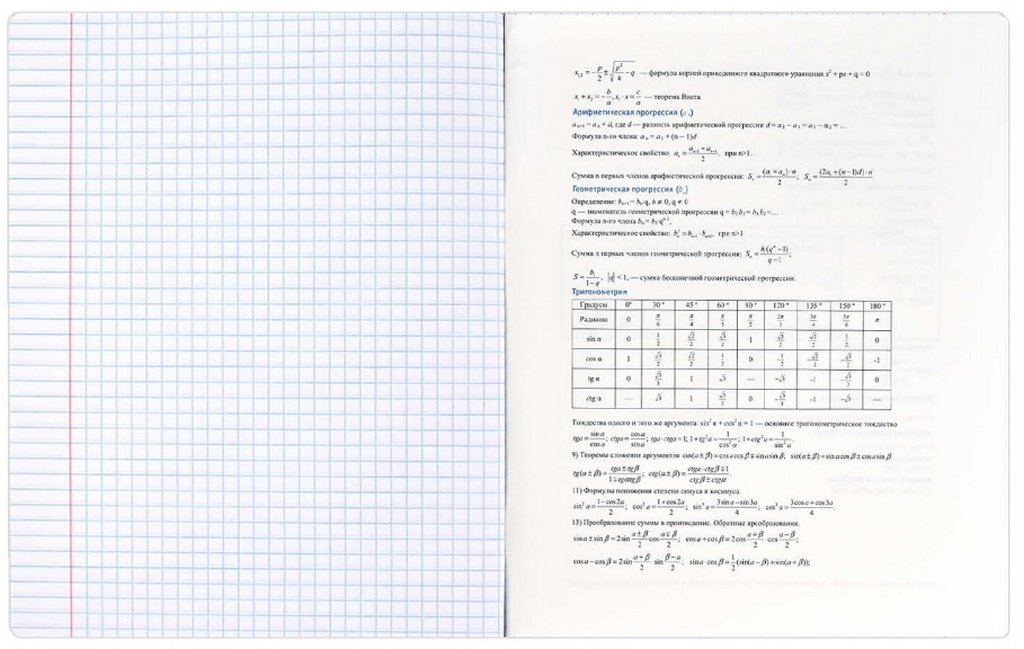 Тетрадь 48 лист кл. А5+ на скрепке, со справ. мат-ом "ФРАЗЫ С ХАРАКТЕРОМ. АЛГЕБРА"