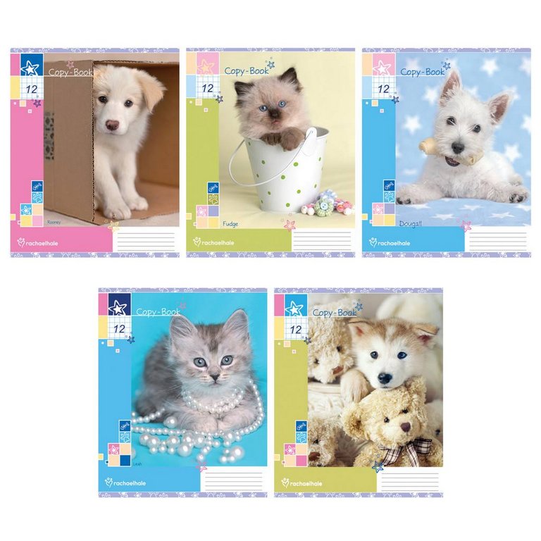 Тетрадь 12 лист лин. узкая А5 "Rachael Hale"