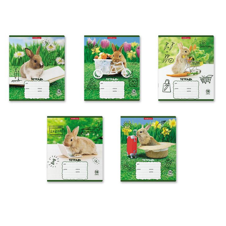 Тетрадь 12 лист кл. А5 "Кролики" ассорти
