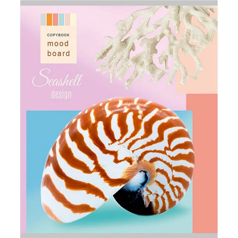 Тетрадь 48 лист кл. А5 на скрепке Collezione "РАКУШКИ СО ДНА"  цвет. мелов. обл.