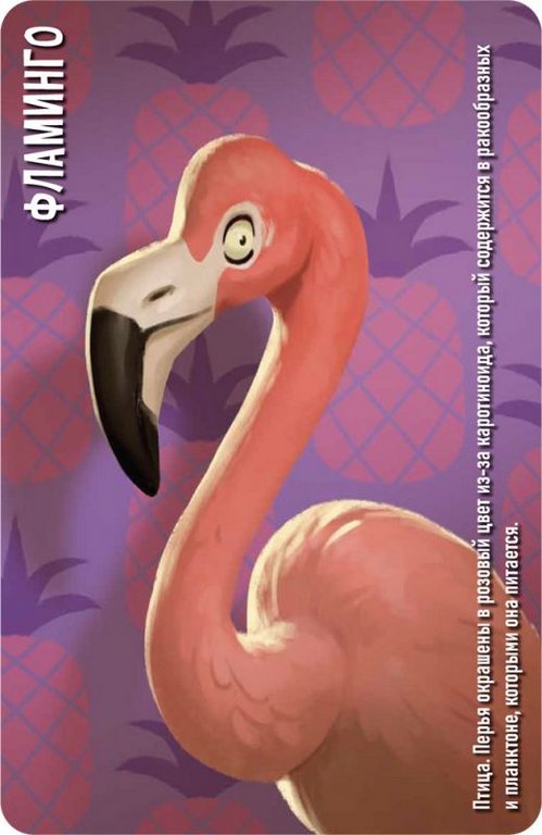 Игра настольная  .8+ с карточками "Similo: Зоопарк" (2+ игроков, 10+ мин)Hobby World