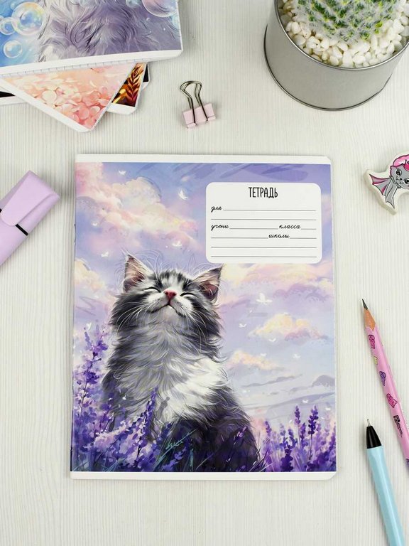 Тетрадь 24 лист кл. А5+ "Мечты кота" ассорти