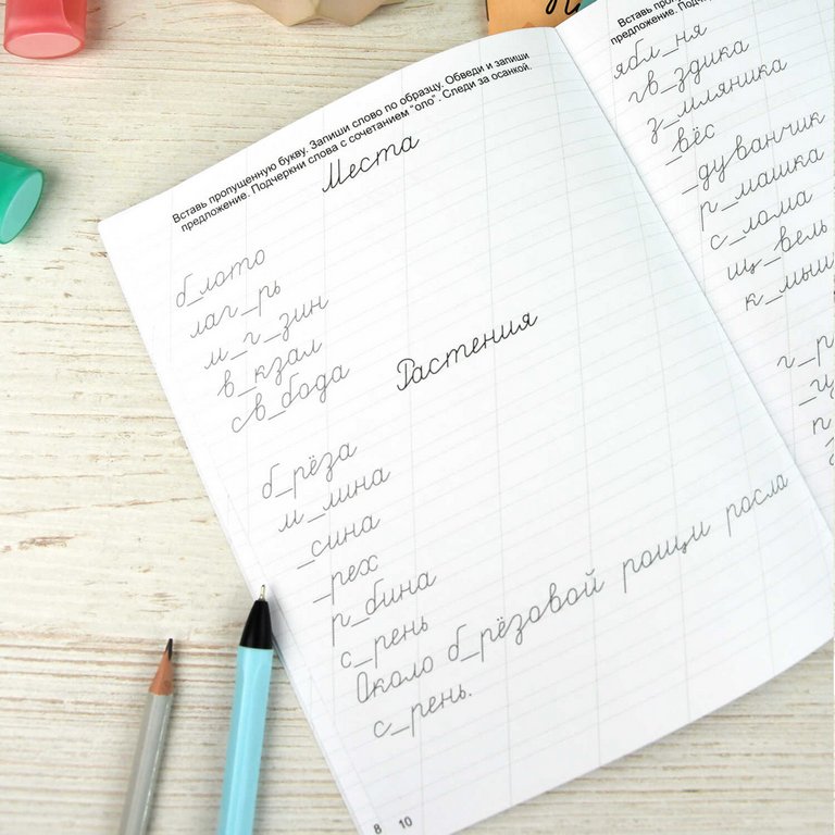 Пропись классическая "Словарные слова" А5, 16 стр. Феникс+