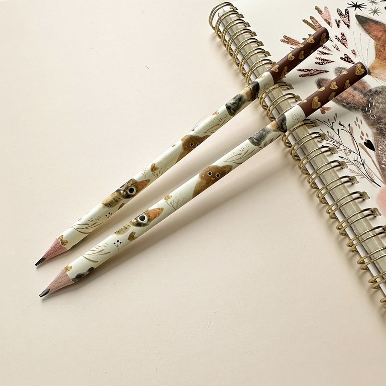 Карандаш ч/г HB с рис. трехгранный Bruno Visconti Love me "Котики. Счастье"