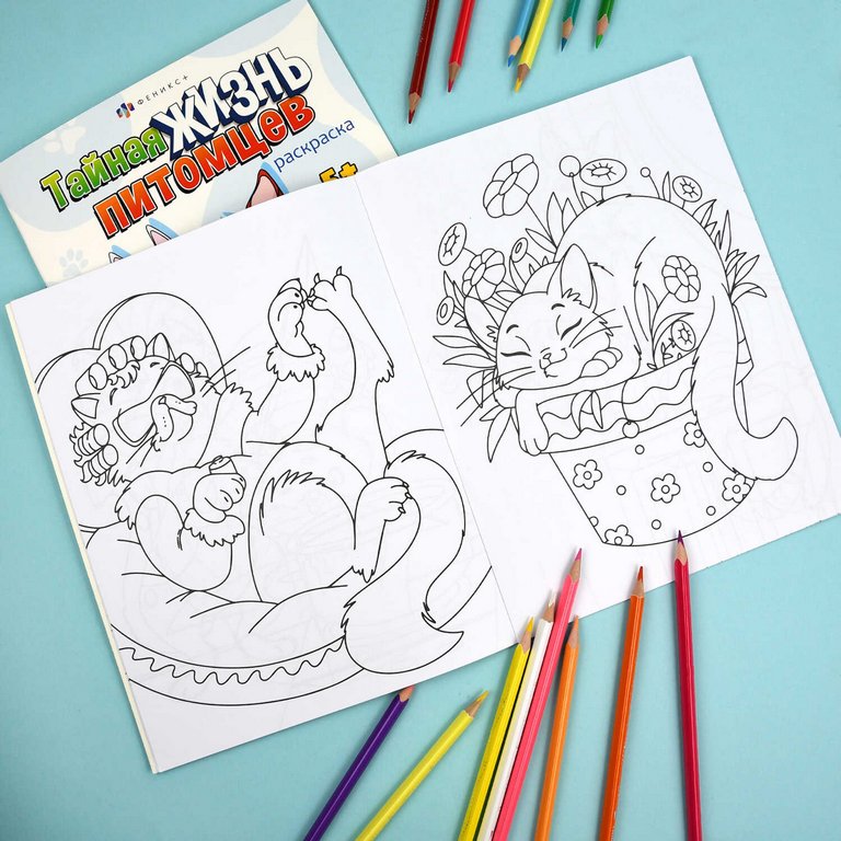 Раскраска А4 "Котики" 8л Феникс+