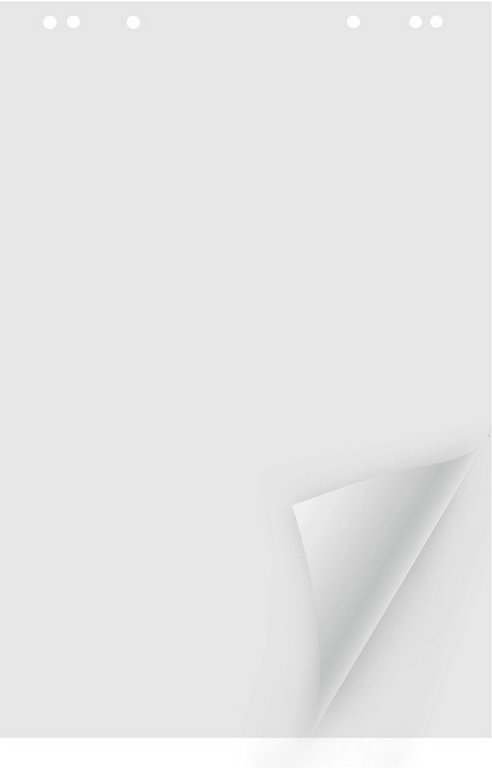 Блок бумажный для Флипчарта белый 600*900 мм, 20 листов Silwerhof