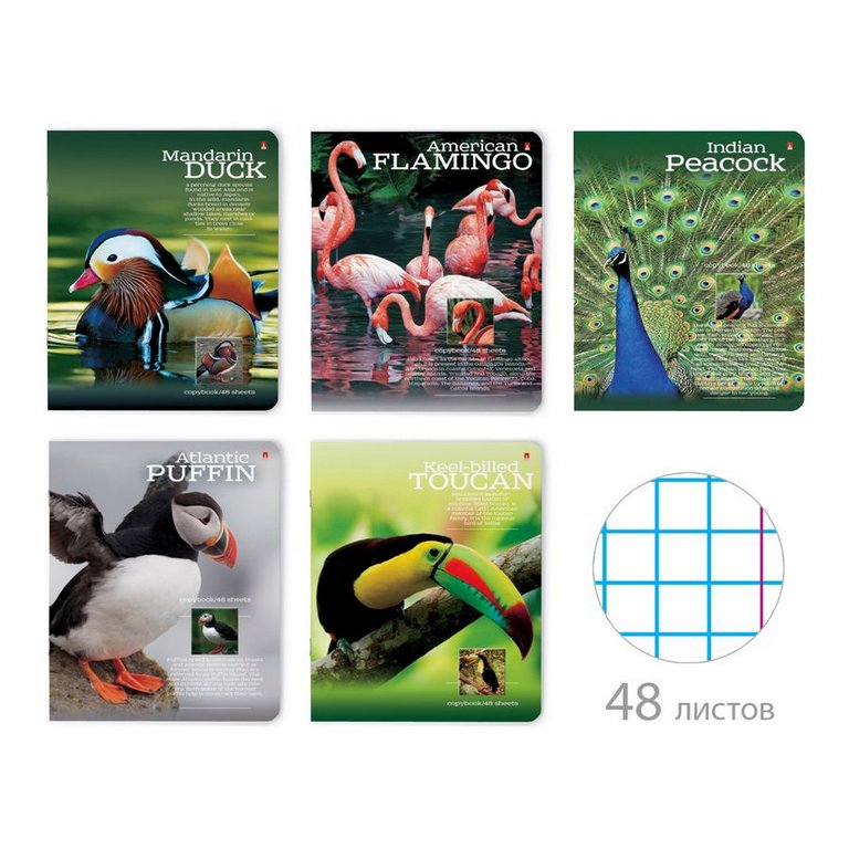 Тетрадь 48 лист кл. А5 на скрепке "РАЙСКИЕ ПТИЦЫ"