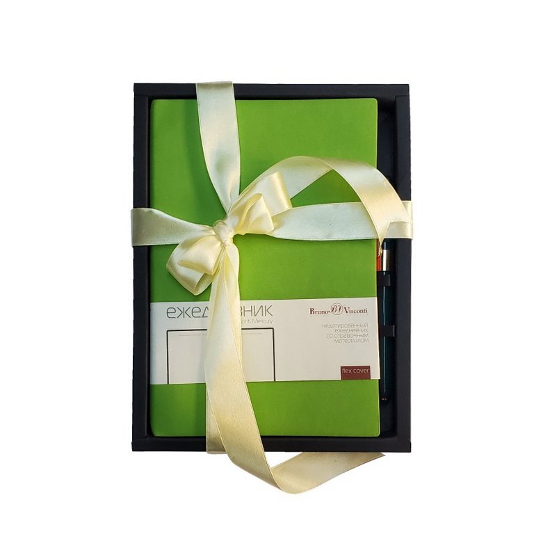 Набор подарочный BrunoVisconti "MERCURY" (САЛАТОВЫЙ ЕЖЕДНЕВНИК А5 + РУЧКА)