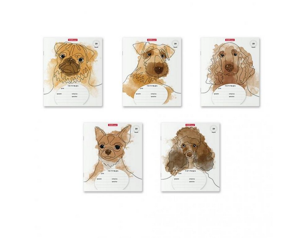 Тетрадь 24 лист кл. А5  "Дружок" 5 видов