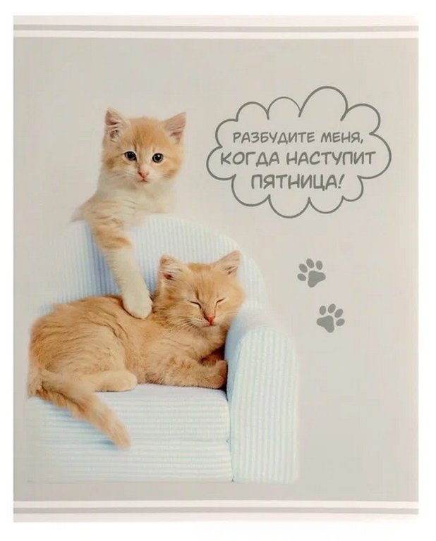 Тетрадь 60 лист кл. А5 на скрепке "Rachael Hale"