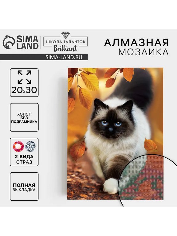 Алмазная мозаика 20*30см "Кошка" Школа талантов
