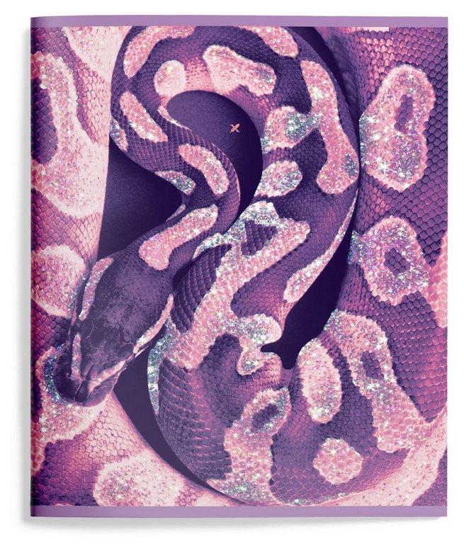 Тетрадь 48 лист кл. А5 на скрепке LOREX "EUPHORIA" мел. карт. запечатка форзаца, soft touch, блёстки