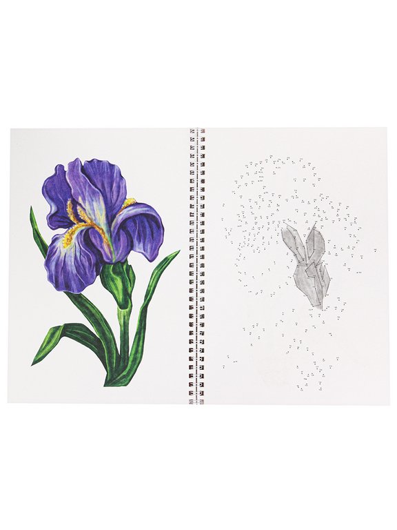 Альбом для обучения рисованию А4 32л. на гребне "РИСУЕМ ОТ ТОЧКИ К ТОЧКЕ" ЦВЕТЫ