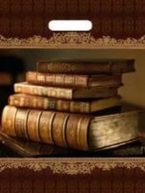 Пакет пробивной 31*40см (60мкм) "Книги New"