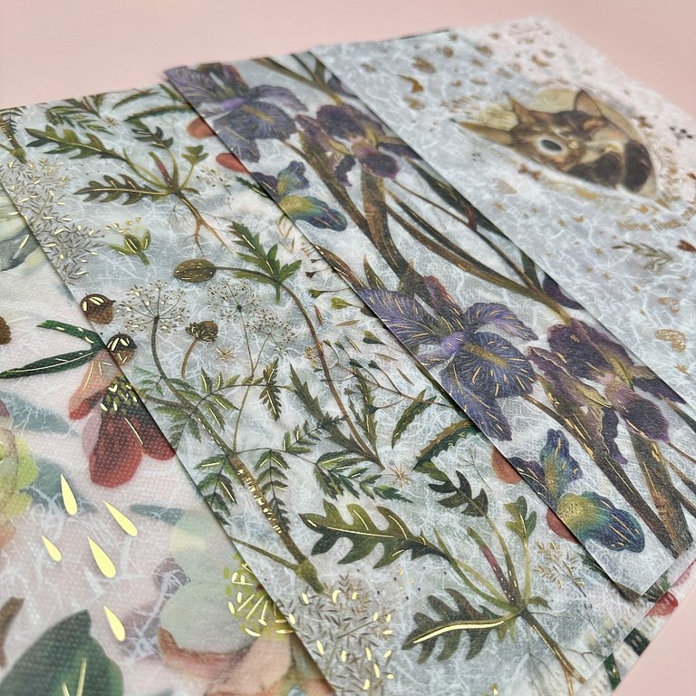 Папка-уголок A4 пластик 0,18 мм BrunoVisconti "FLORA.ЛУГОВЫЕ ТРАВЫ"