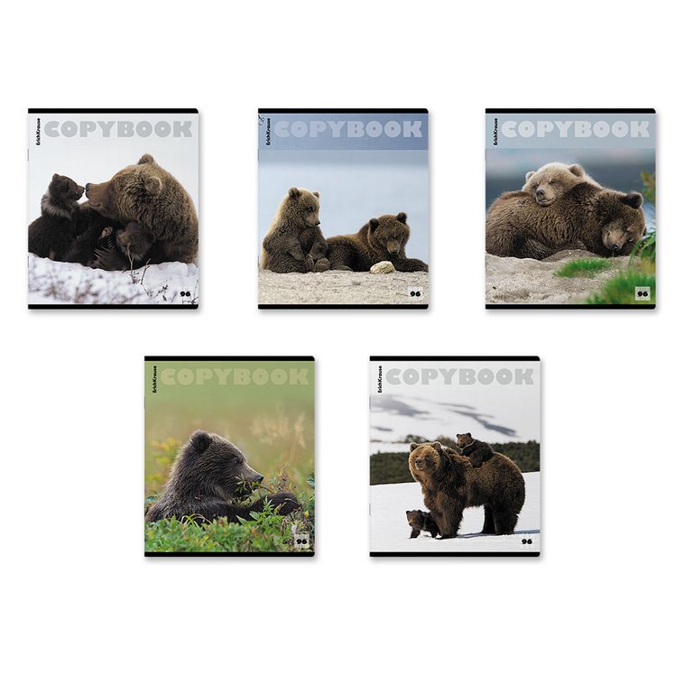 Тетрадь 96 лист кл. А5+ на скрепке "Медведи" 5 видов