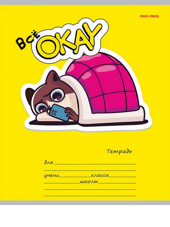 Тетрадь 18 лист кл. А5 "ВСЁ ОКЕЙ" ассорти Prof-Press
