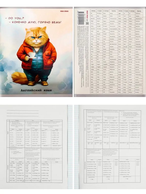 Тетради в наборе 48 лист (10шт/уп предм.тетрадей) А5 на скрепке, со справ. мат-ом "Жил был кот"