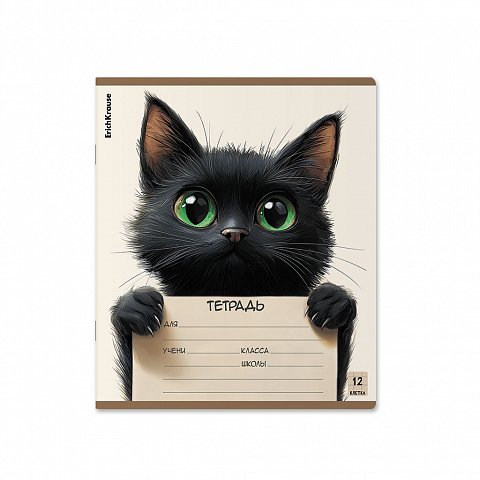 Тетрадь 12 лист лин. А5+ "Note Friends" ErichKrause