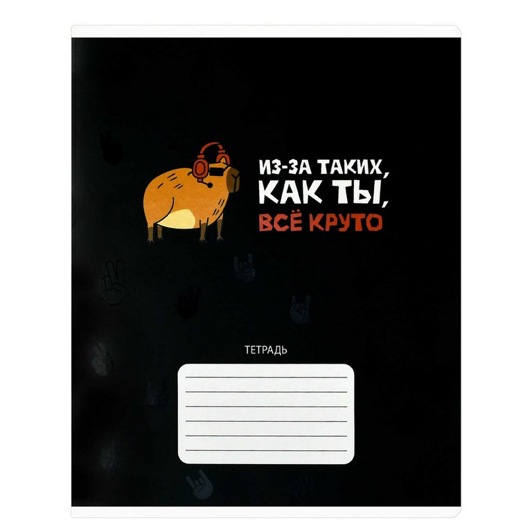 Тетрадь 24 лист кл. А5+ "Герои с характером" ассорти Феникс+