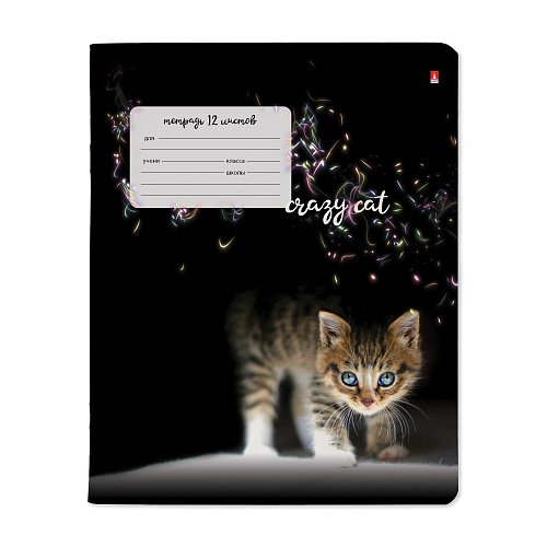 Тетрадь 12 лист кл. А5 "УДИВИТЕЛЬНЫЕ КОТЯТА"