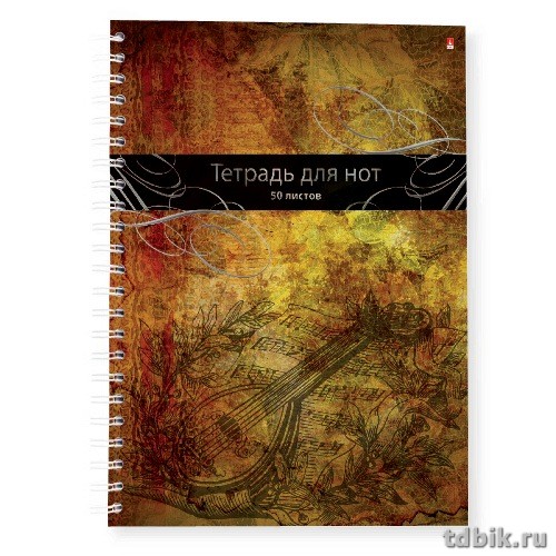 Тетрадь для нот 50 л., А4 на гребне (вертикальная)
