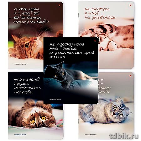 Тетрадь 48 лист кл. А5 на скрепке Альт "ПРИКОЛЫ.КОШАЧЬИ МЕЧТЫ" 5 ВИДОВ