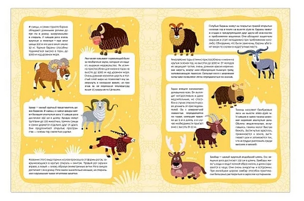 Книга детская с наклейками В мире животных "Высокие горы" 280х210мм 8стр., Мозаика-Синтез