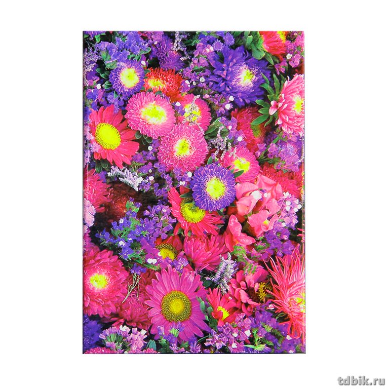 Блокнот А5  70л., 120*180 мм, ламинированный "Астры"