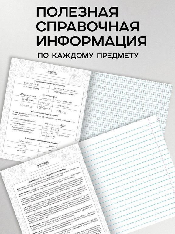 Тетради в наборе 48 лист (12шт/уп предм.тетр) А5 на скрепке, со справ. мат-ом "Fluid Art"