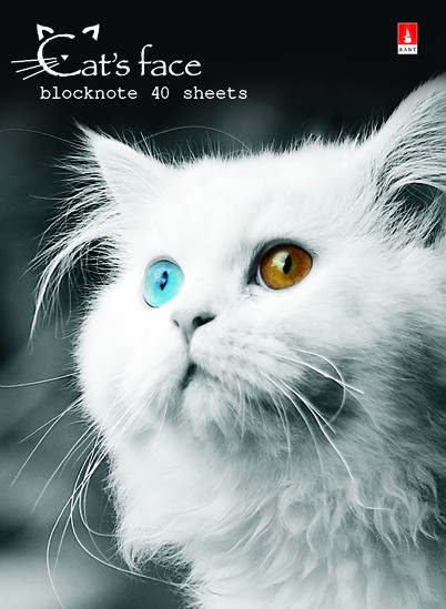Блокнот А7  40л.,  68*104 мм,  на гребне "Кошачий взгляд"