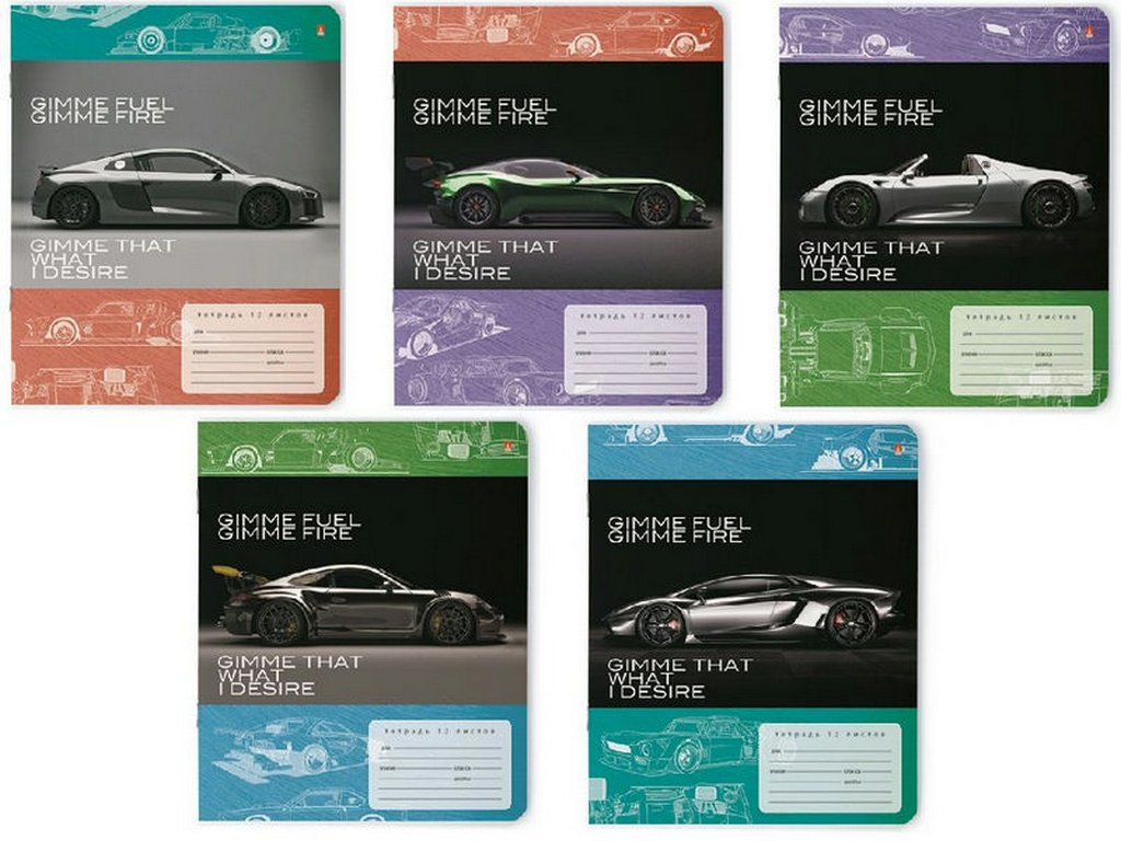 Тетрадь 12 лист кл. А5 "ФОРСАЖ" 5 ВИДОВ