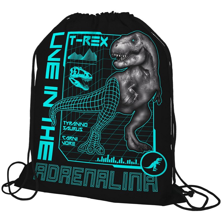 Сумка для обуви для мальчика 48*38 см Seventeen "Динозавр"