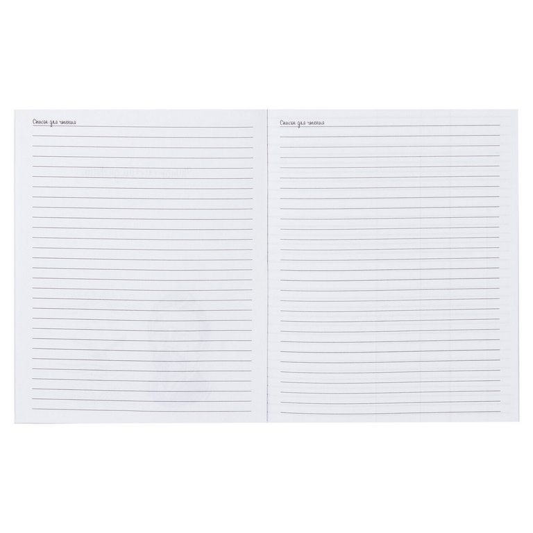 Дневник читательский на скрепке "Кот учёный" 40 л.,  А5