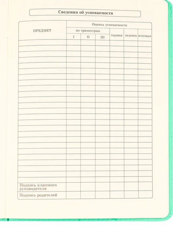 Дневник школьный мягкая обложка  с поролоном, кожзам "АВОКАДО" 48л, ляссе