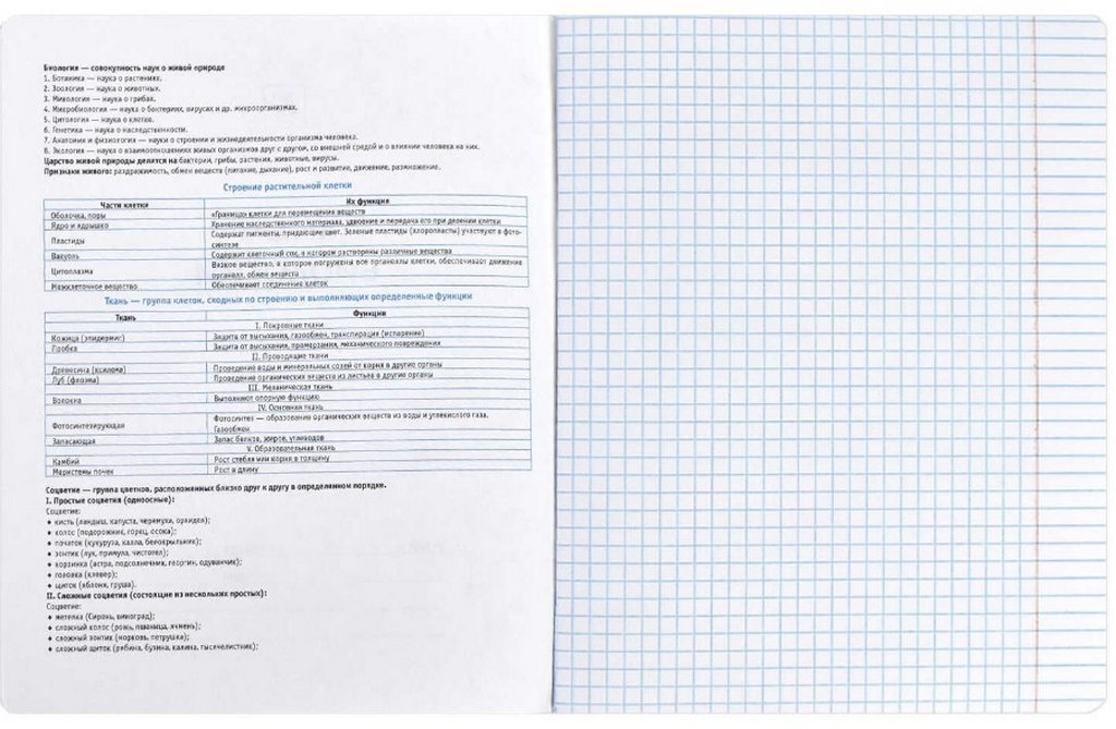 Тетрадь 48 лист кл. А5+ на скрепке, со справ. мат-ом "ФРАЗЫ С ХАРАКТЕРОМ. БИОЛОГИЯ"